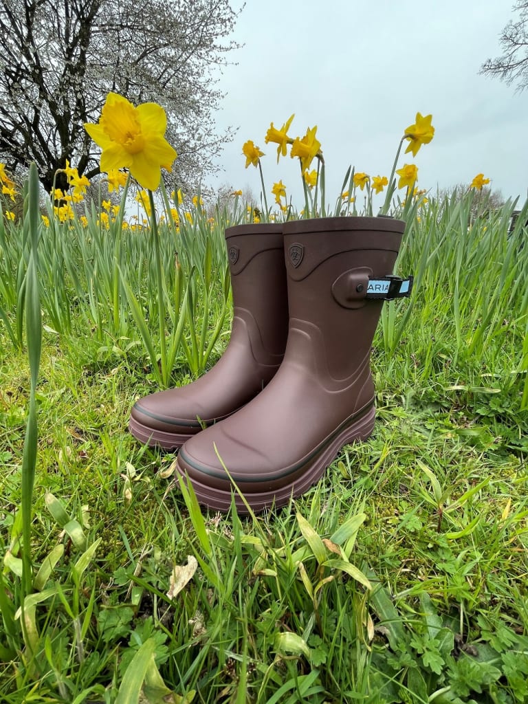 Ariat Kelmarsh Mid Rubber Boots in Maroon